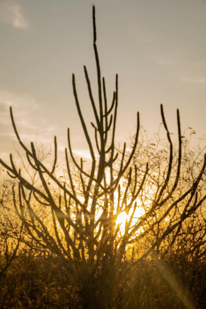 Pôr do sol